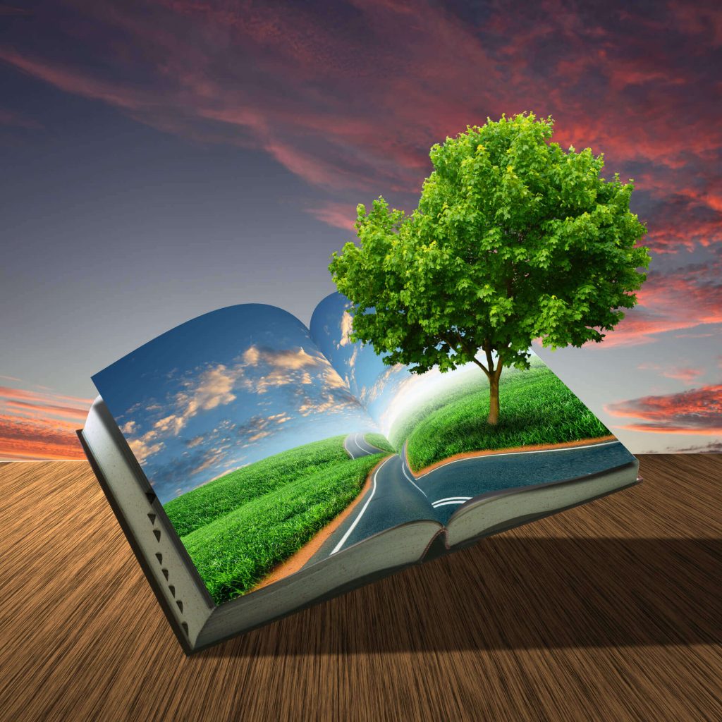 La mejor editorial Agencia del libro